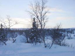 dsc00070.jpg