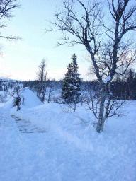 dsc00072.jpg