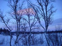 dsc00074.jpg