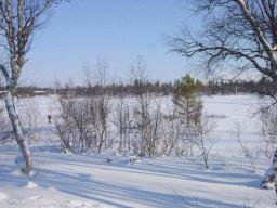 dsc00025.jpg