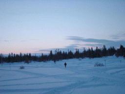 dsc00003.jpg