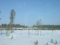 dsc00014.jpg