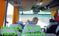 dsc00017.jpg